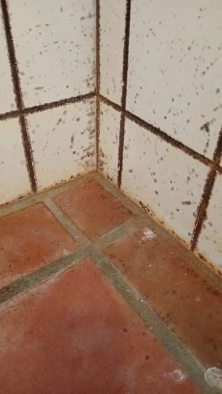 PROFESSIONEL MUG OG SKIMMELFJERNER 500 ML.