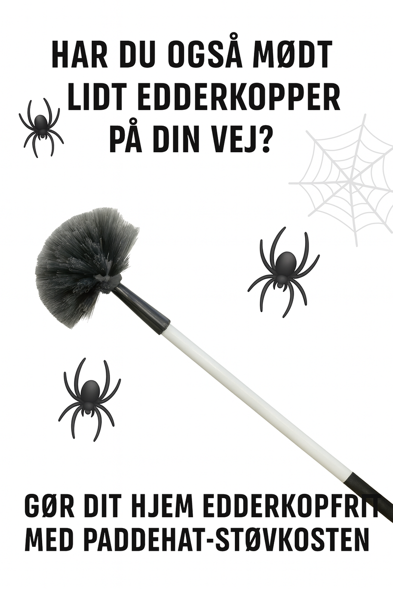 🕷️ Har du også mødt lidt edderkopper på din vej? 🍂