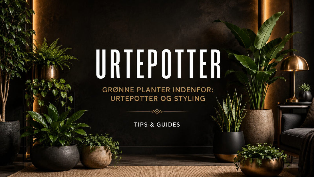 Grønne planter indenfor: urtepotter og styling – Det Rene Vanvid
