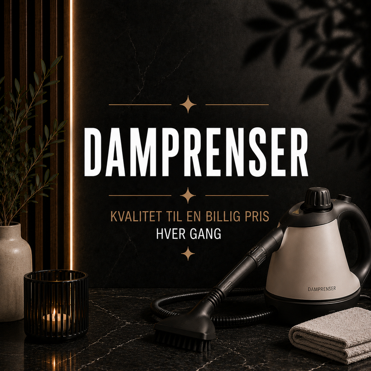 Damprenser – damprensere til rengøring uden kemi hos Det Rene Vanvid