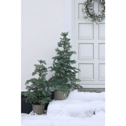 Chic Antique Fleur Grantræ med Kurv & 60 LED-Lys – H90 cm