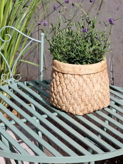 Chic Antique, Cafésstol, antique verte