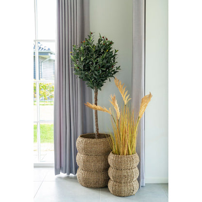 Sarbas Kurve – sæt af 2