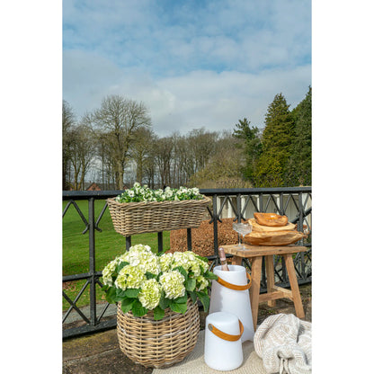 House Nordic Bristol LED Lampe