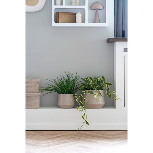 House Nordic -Trofa Urtepotte