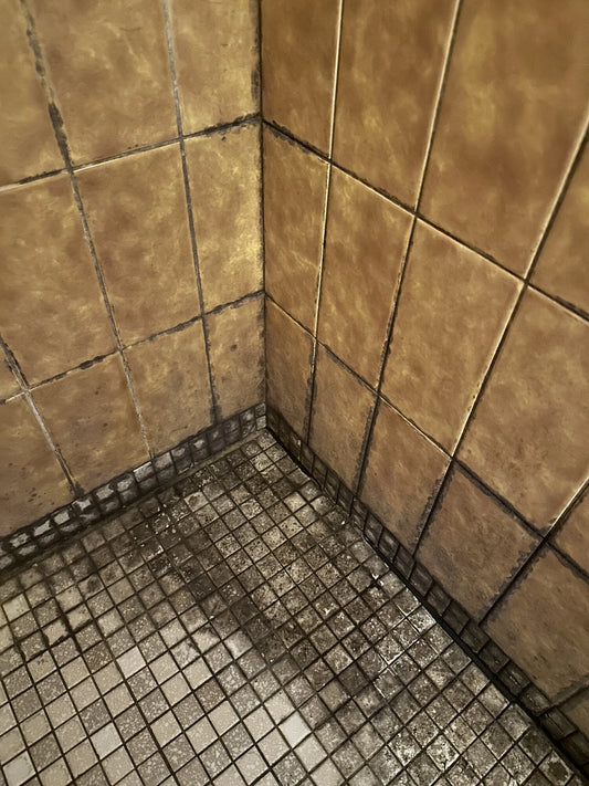 PROFESSIONEL - MUG OG SKIMMELFJERNER 500 ML