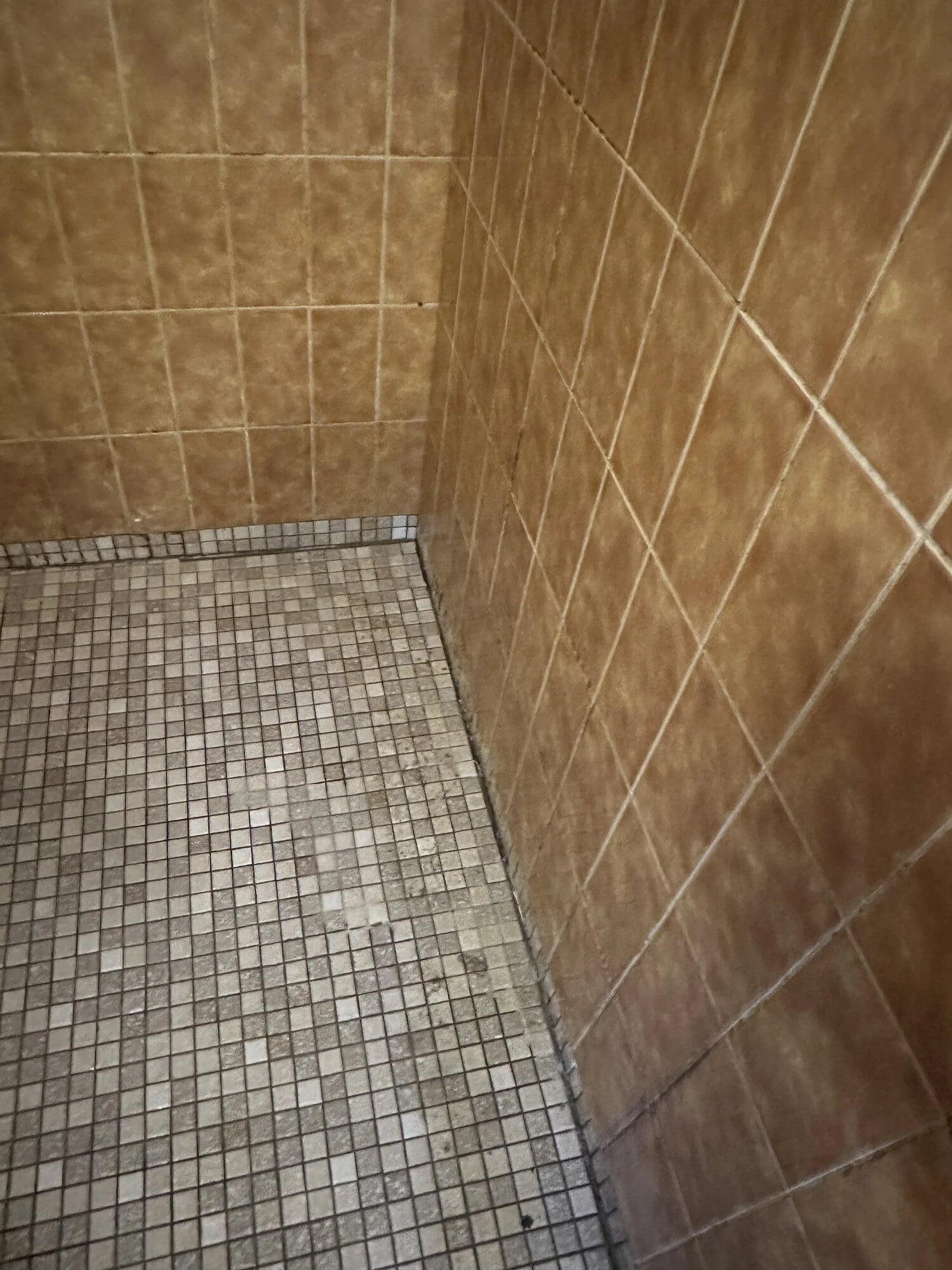 PROFESSIONEL - MUG OG SKIMMELFJERNER 500 ML