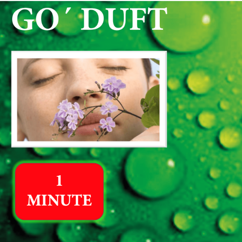 1 MINUTE GO' DUFT 500 ML