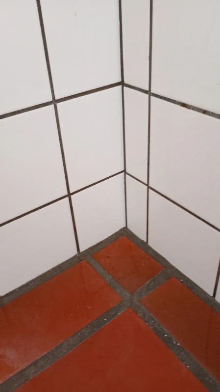 PROFESSIONEL MUG OG SKIMMELFJERNER 500 ML.