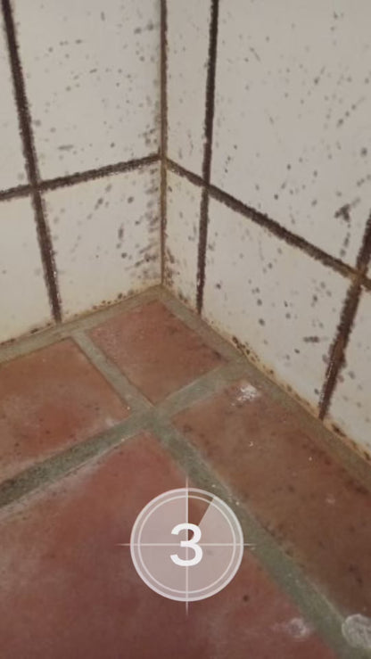 PROFESSIONEL - MUG OG SKIMMELFJERNER 500 ML