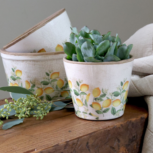 Chic Antique -  Limone Blossom Skjuler m. citroner og blomster